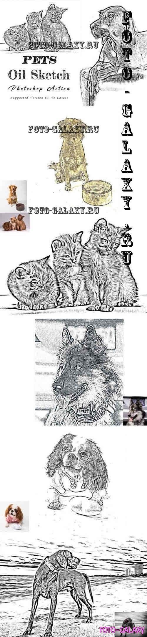 Pets Oil Sketch Photoshop Action - 11005026