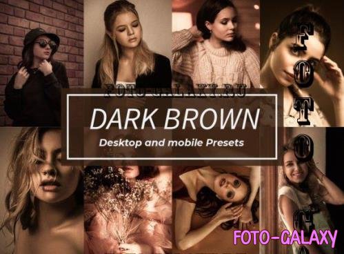 14 Dark Brown Lightroom Presets