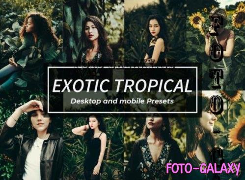 8 Exotic Tropical Lightroom Presets