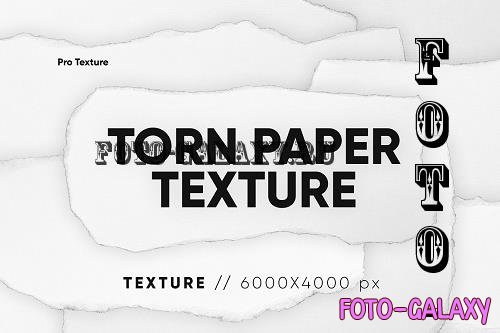 20 Torn Paper Piece Texture - 11010471