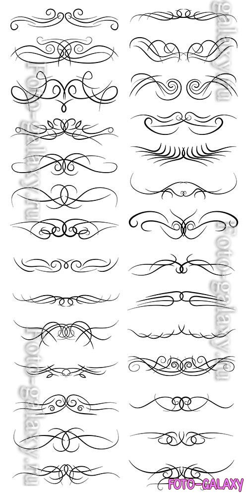 Decorative curls swirls, borders, drawing elements in vector