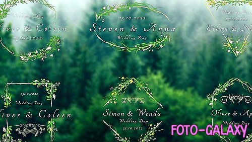 Videohive - Wedding Titles 45945660 - Project For Final Cut Pro X