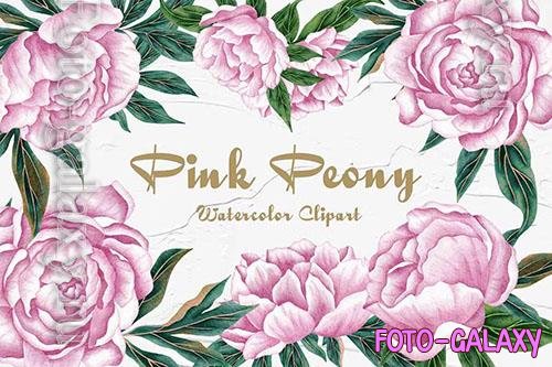 Peony Watercolor Clipart [PNG]