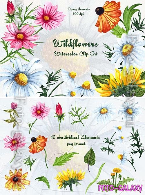 Wildflowers Watercolor Clipart [PNG]