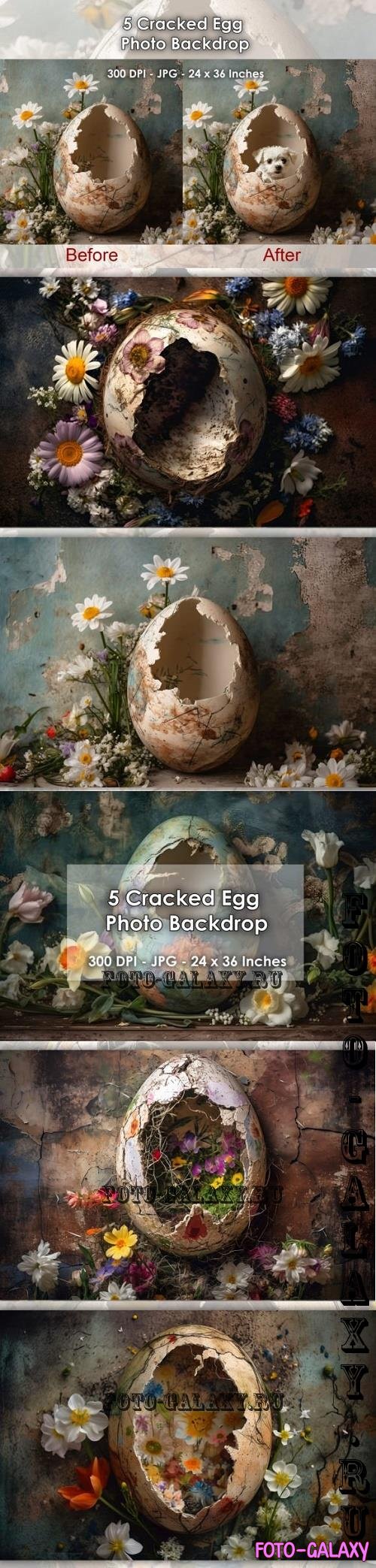 5 Cracked Eggs Photo Backdrop