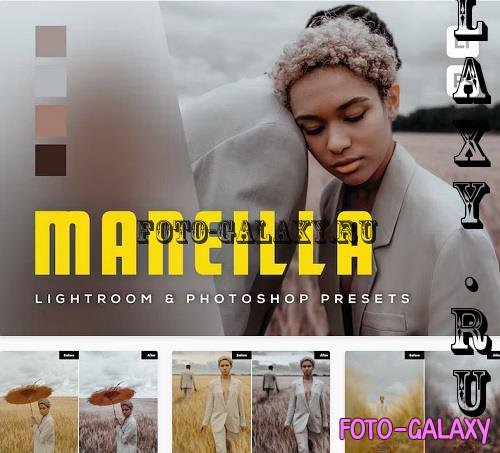6 Maneilla Lightroom and Photoshop Presets - K6ML7DU