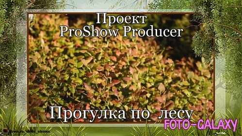 Проект ProShow Producer - Прогулка по лесу