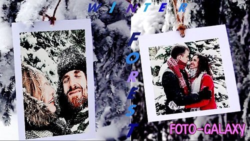 Photos In The Winter Forest 21 - Project for After Effects