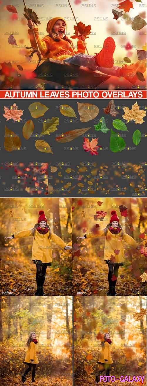 Autumn overlays, Leaf clipart, realistic leaf photo overlay - 952781