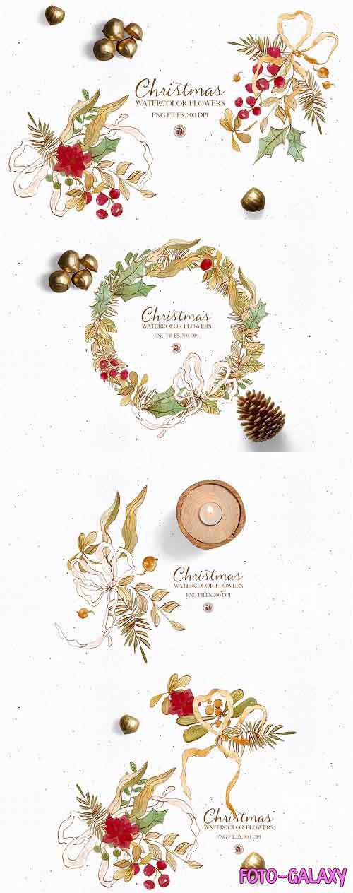Christmas Flowers - watercolor set - 5542458