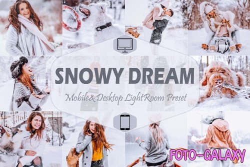 10 Snowy Dream Mobile & Desktop Lightroom Presets