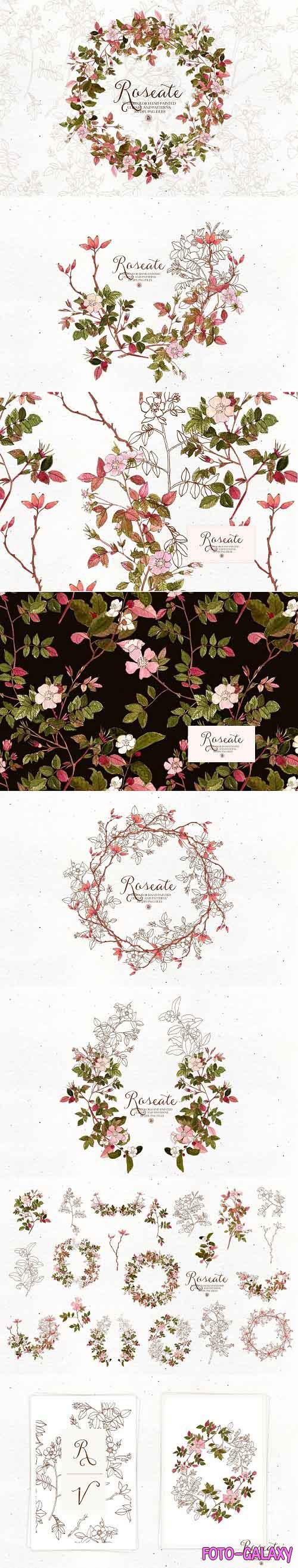 Roseate - watercolor floral clipart - 5807664