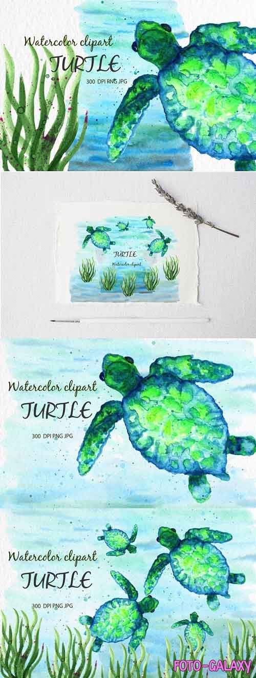 Watercolor clipart, Watercolor turtle. Marine animals - 1184461