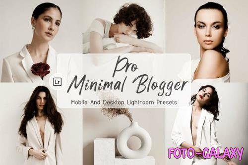 10 Pro Minimal Blogger Desktop And Mobile Presets - 1240699