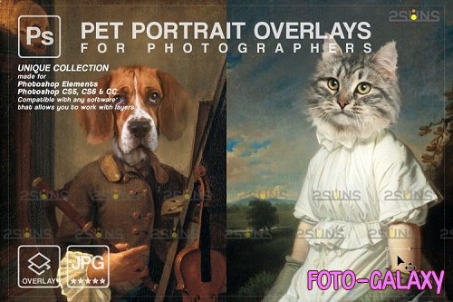 Royal Pet Portrait templates vol.15, Pet Painting - 1133443