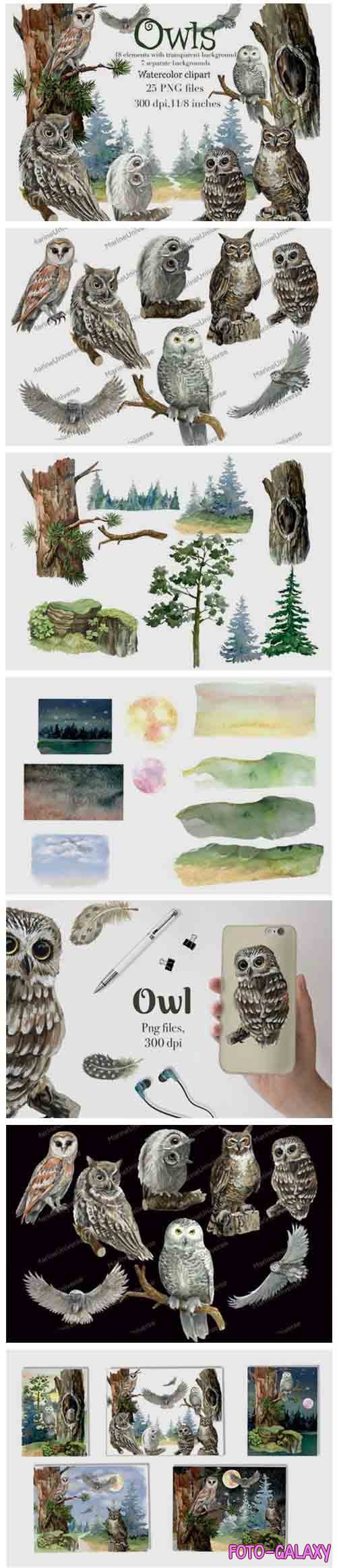 Owls watercolor clipart, forest birds,night background - 1157734
