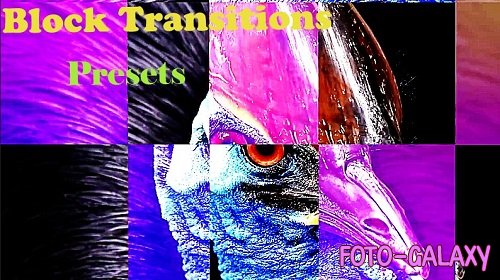 Block Transitions Presets 202244 - After Effects Presets