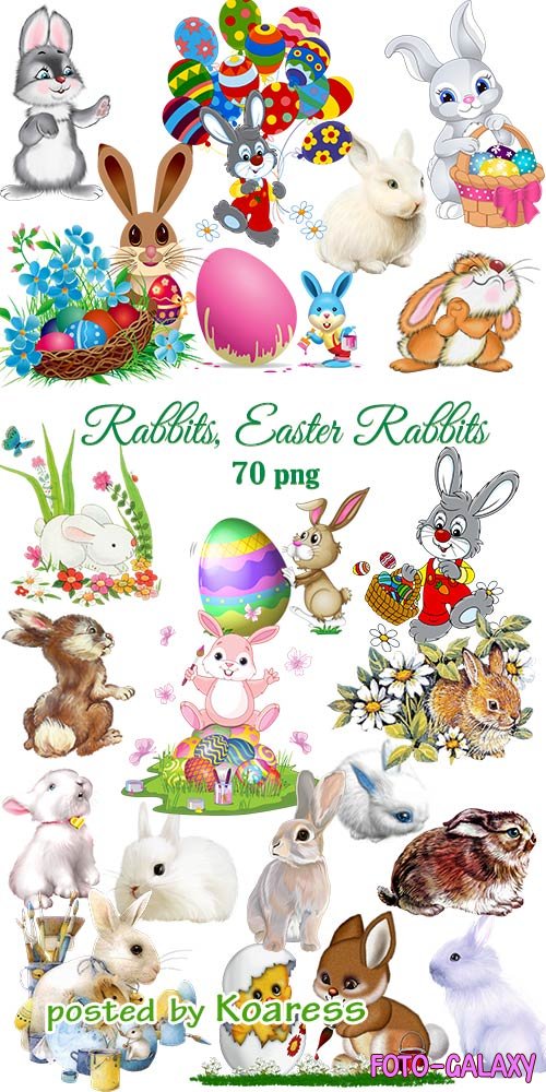   png - Easter Rabbits
