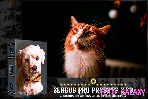 PRO Presets - V 28 - Photoshop & Lightroom