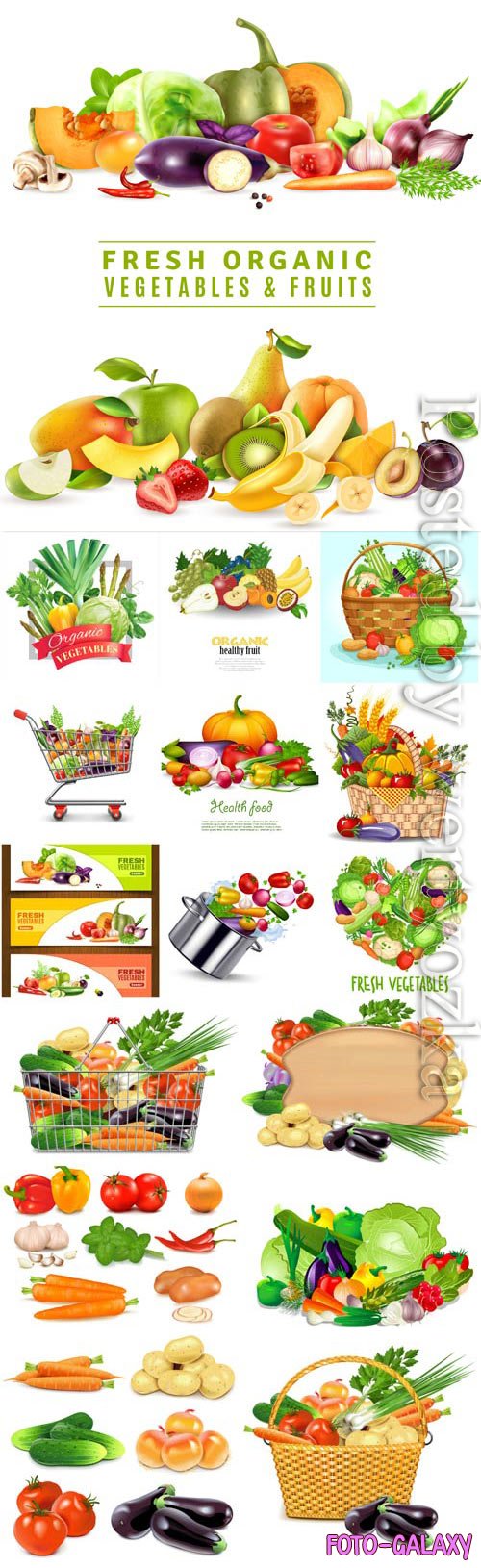 Baskets with vegetables in vector