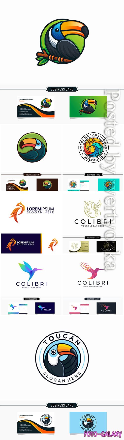 Logo and vector business card