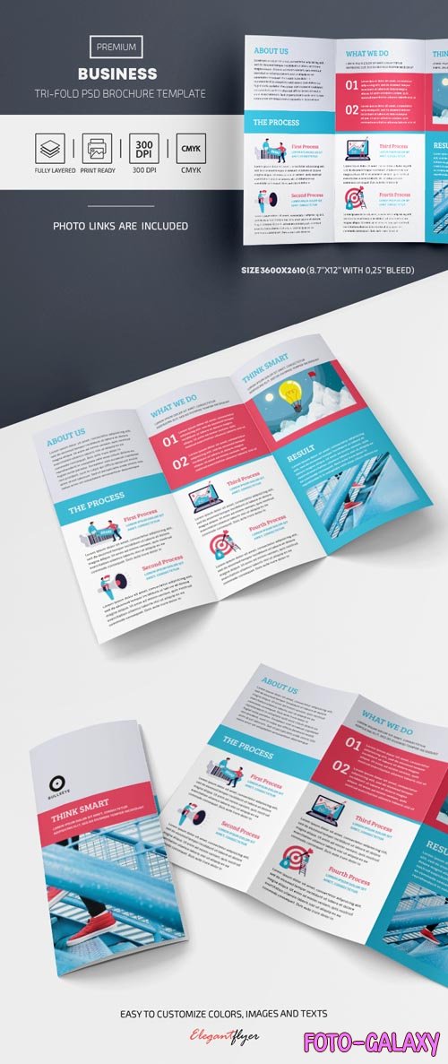 Business Tri Fold Brochure PSD Template