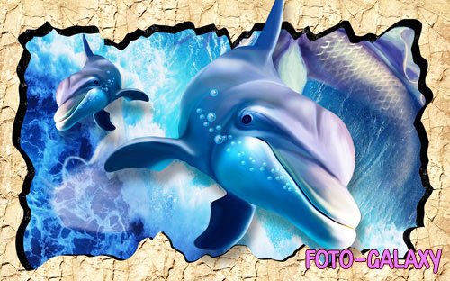 3d dolphins underwater world hole wall custom mural