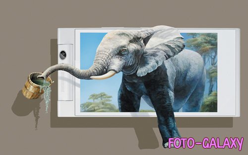 3d embossed elephant out of the background wall painting