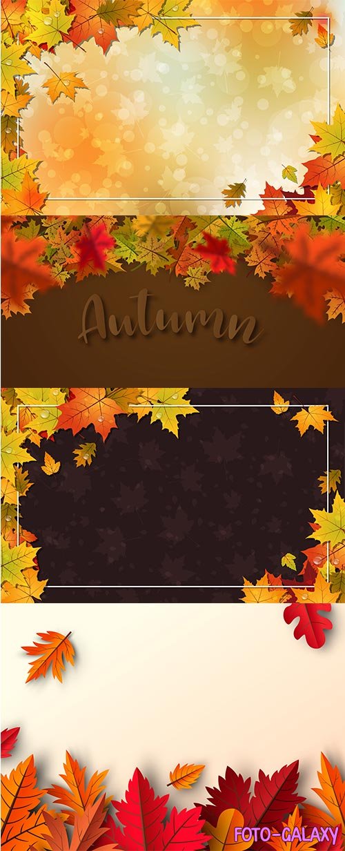 Векторные фоны с осенними листьями 