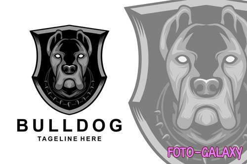 Bulldog shield logo design templates