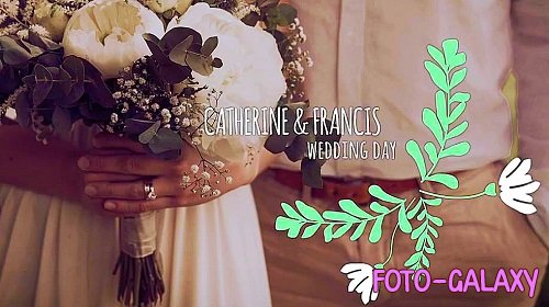Wedding Titles 1017987 - Project for After Effects