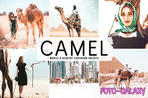 Camel Pro Lightroom Presets - 6622399