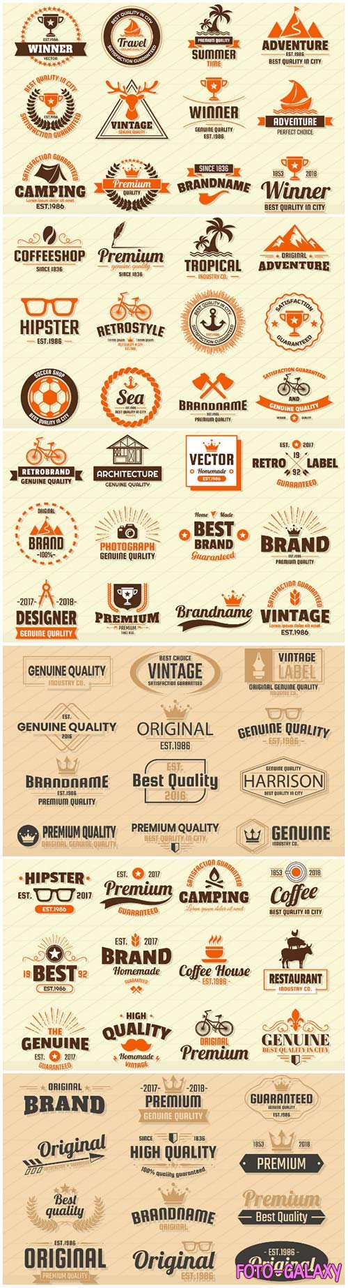 Vintage logos and badges in vector