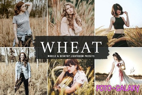 Wheat Mobile & Desktop Lightroom Presets