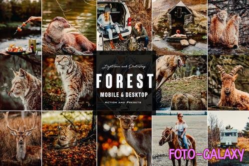 Forest Mood - Photoshop & Lightroom Presets and PC