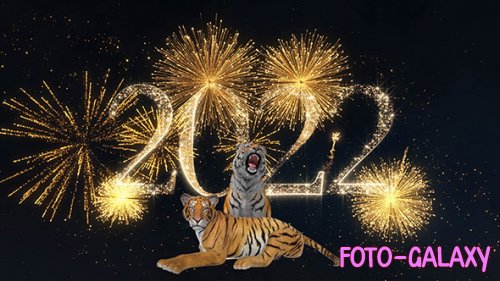 Tigers and fireworks 2022 with voice acting - Footage 4K