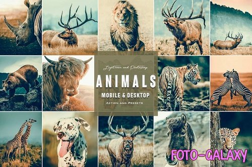 Animals Cinematic - Photoshop Actions & Presets
