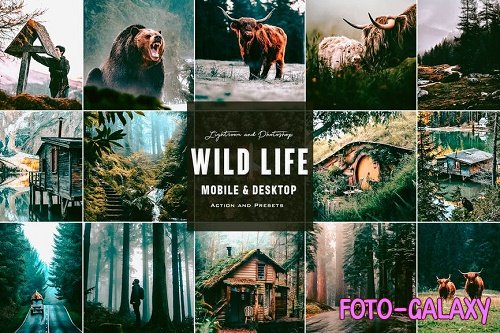 Wild Life - Photoshop Actions & Lightroom Presets