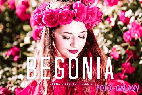 Begonia Pro Lightroom Presets - 6896085
