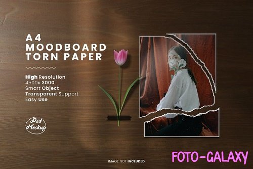 Moodboard paper torn with rose psd mockup