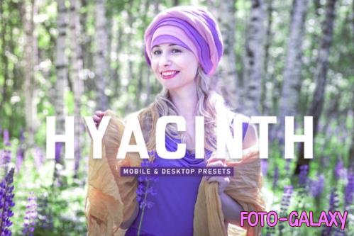 Hyacinth Pro Lightroom Presets - 6929804