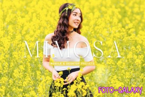 Mimosa Mobile & Desktop Lightroom Presets - 1800000