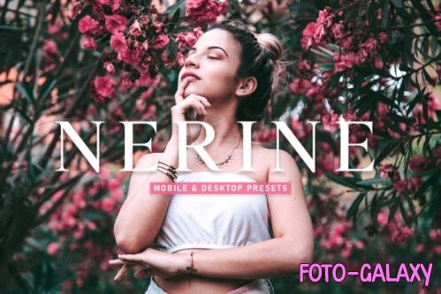 Nerine Mobile & Desktop Lightroom Presets - 1800004