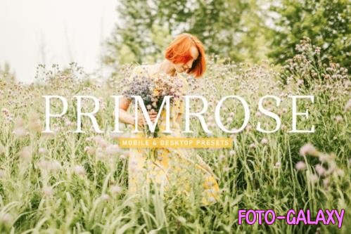 Primrose Mobile & Desktop Lightroom Presets - 1800009