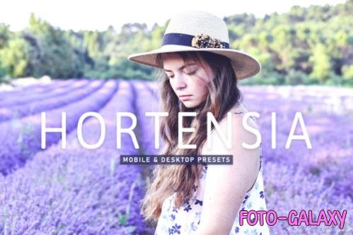 Hortensia Mobile & Desktop Lightroom Presets - 1803509