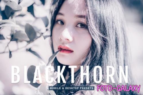 Blackthorn Mobile & Desktop Lightroom Presets - 1803510