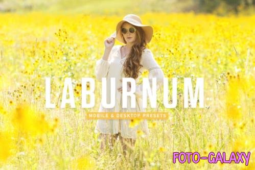 Laburnum Mobile & Desktop Lightroom Presets - 1803516