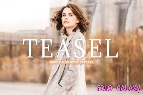 Teasel Mobile & Desktop Lightroom Presets - 1803525
