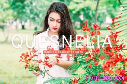 Quesnelia Mobile & Desktop Lightroom Presets - 1803520