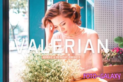 Valerian Mobile & Desktop Lightroom Presets - 1803527